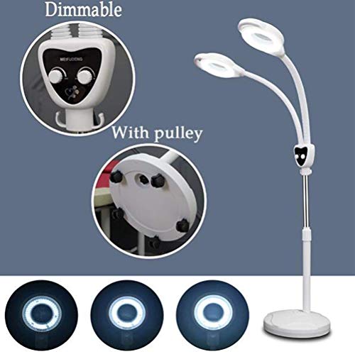 Dpliu Nail 8X de Doble Cabezal LED del salón de Belleza de luz fría Iluminación Comercial Lámpara de Aumento de Cristal de la lámpara sin Sombra de Ojos Belleza Lámpara de pie con Polea y regul