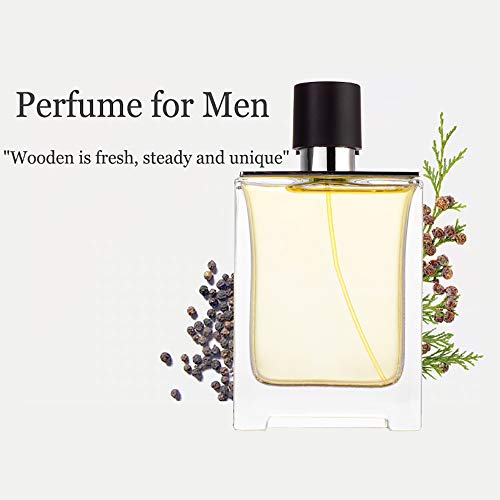 DQM Perfume para Hombres, Spray de Perfume Natural Fresco de Fragancia Ligera y Duradera, perfumes de Fragancia amaderada Picante, 100 ml / 3,4 oz