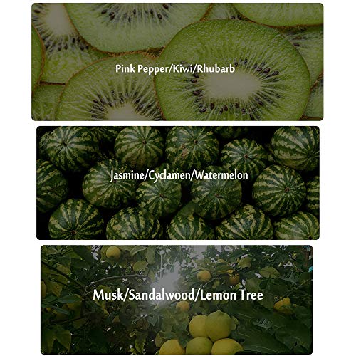 DQM Perfume para Mujer, baño Dorado con Arenas movedizas Florales afrutadas Eau de perfumes, Spray Natural Fresco de Larga duración, 50 ml / 1,7 oz, Azul