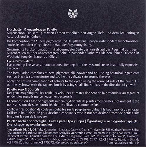 Dr. Hauschka Paleta Ojos Y Cejas 01 Stone 5.3Gr