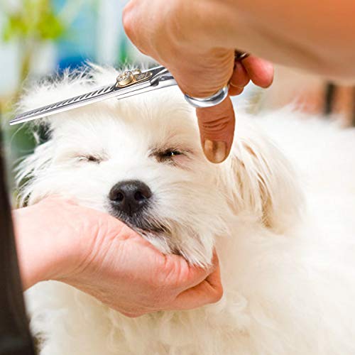 Dream Reach - Juego de tijeras profesionales de peluquería para perros, rectas, curvas, adelgazamiento/mezcla/trocear, JP-440C, de acero inoxidable, para cortar/recortar el pelo de mascotas