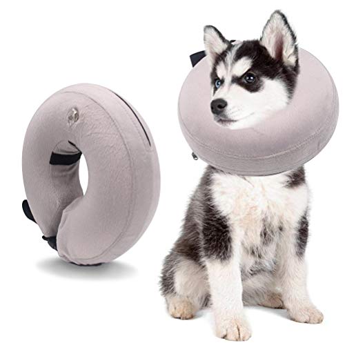 Ducomi Collar de Recuperación Inflable para Perros, Cono de Cuello Isabelino Ajustable para Mascotas Recuperación de Cirugía o Heridas - Previene la Infección por Arañazos y Picaduras (Gris, M)