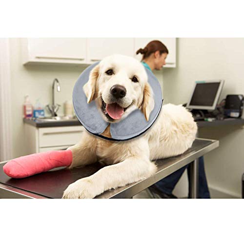 Ducomi Collar de Recuperación Inflable para Perros, Cono de Cuello Isabelino Ajustable para Mascotas Recuperación de Cirugía o Heridas - Previene la Infección por Arañazos y Picaduras (Gris, M)