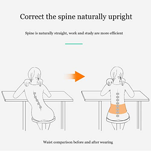 DYMMS® Corrector De Postura Espalda Y Hombros para Hombre Y Mujer, Faja para Dolor De Espalda, Enderezador De Espalda Transpirable, Apto para Personas Sedentarias,L