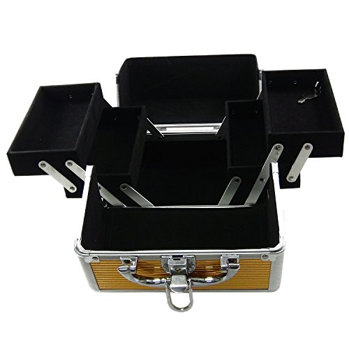 DynaSun BS35 21x17x17cm Oro Maletín Maquillaje Cosmética Estética Joyas Multiuso Caja Maleta Belleza Cofre Joyas Cabello Estuche