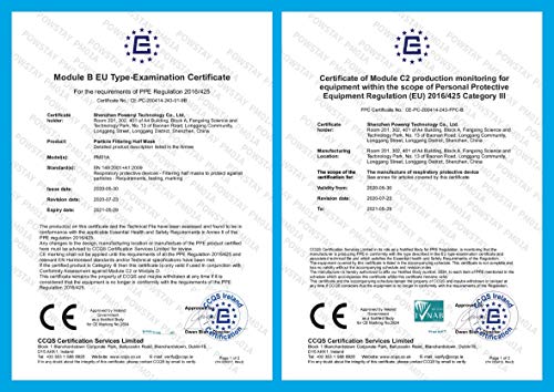 EasyCHEE Powstay PM01A máscara filtrante de partículas FFP2 NR, 2 unidades