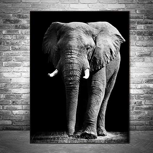 Elefante Pinturas sobre lienzo Animales en blanco y negro Carteles e impresiones de pared Cuadros de pared para sala de estar Sin marco