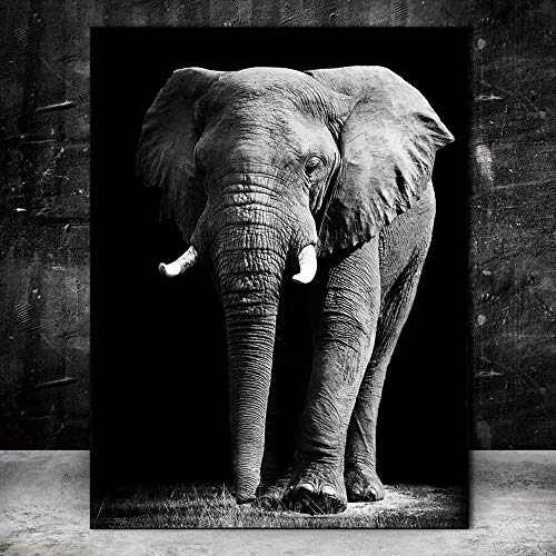 Elefante Pinturas sobre lienzo Animales en blanco y negro Carteles e impresiones de pared Cuadros de pared para sala de estar Sin marco