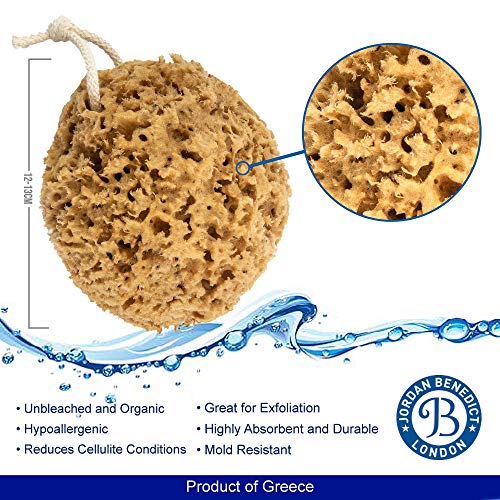Esponja de ducha natural Jordan Benedict, sin blanquear panal de abeja, para adultos, bebés, arte y mascotas, 12 – 13 cm