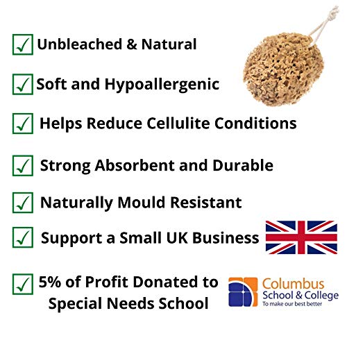 Esponja de ducha natural Jordan Benedict, sin blanquear panal de abeja, para adultos, bebés, arte y mascotas, 12 – 13 cm