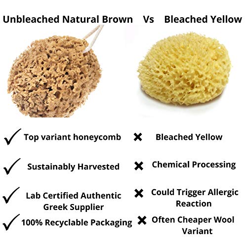 Esponja de ducha natural Jordan Benedict, sin blanquear panal de abeja, para adultos, bebés, arte y mascotas, 12 – 13 cm