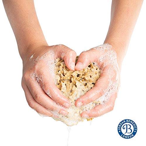 Esponja de ducha natural Jordan Benedict, sin blanquear panal de abeja, para adultos, bebés, arte y mascotas, 12 – 13 cm