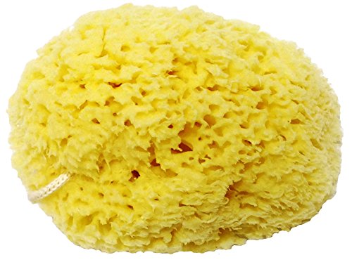 Esponja de mar natural en forma de panal de abeja - fuerte y duradera - 100% natural y hipoalergénica - para bebés, niños y adultos - utilizada en baños, exfoliantes, maquillaje, arte, mascotas