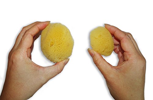 Esponjas Naturales de Mar x12: Para Aplicación y Eliminación de Maquillaje Cosmético, Limpieza facial y ocular; 3,5-7,5cm Paquete de 12 por Constantia Beauty