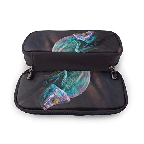 Estuche Escolar de Gran Capacidad, Bolsa de Lápiz Organizador para Material Papelería con Cremallera Doble Lagarto camaleón durmiente turquesa colorido para Hombre Mujer Estudiante en Escuela Oficina
