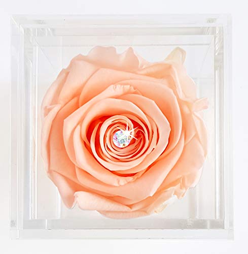Eternal Petals Rose That Lasts A Year - The Unique Gift for Women and Men, an, Birthday Gift - White Gold Solo with Multicolour Swarovski Crystal (Delicious Peach)