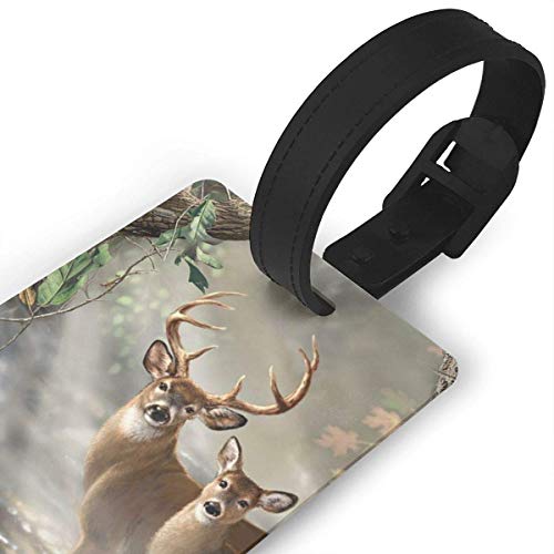 Etiquetas para Equipaje con diseño de árbol de limón exótico, Etiquetas Flexibles para Equipaje o Maletas, Juego de Etiquetas para identificación de Nombre para Viajes