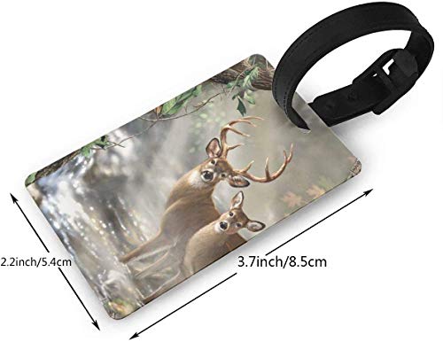 Etiquetas para Equipaje con diseño de árbol de limón exótico, Etiquetas Flexibles para Equipaje o Maletas, Juego de Etiquetas para identificación de Nombre para Viajes