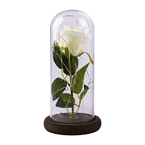 Etopfashion Beauty and The Beast Red Rose Scenery Cubierta de cristal artificial Led en una cúpula de cristal con una base de madera para regalos de Niña Aniversario Decoración del hogar (Rosa blanca)