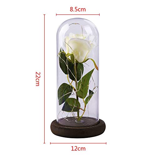 Etopfashion Beauty and The Beast Red Rose Scenery Cubierta de cristal artificial Led en una cúpula de cristal con una base de madera para regalos de Niña Aniversario Decoración del hogar (Rosa blanca)
