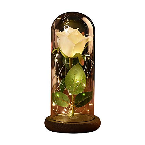 Etopfashion Beauty and The Beast Red Rose Scenery Cubierta de cristal artificial Led en una cúpula de cristal con una base de madera para regalos de Niña Aniversario Decoración del hogar (Rosa blanca)