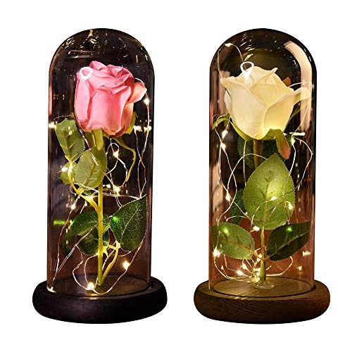 Etopfashion Beauty and The Beast Red Rose Scenery Cubierta de cristal artificial Led en una cúpula de cristal con una base de madera para regalos de Niña Aniversario Decoración del hogar (Rosa blanca)