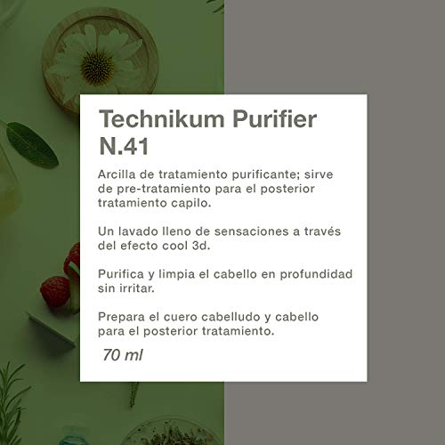 Eva Professional Hair Care Capilo Technikum Purifier N.41 450 ml