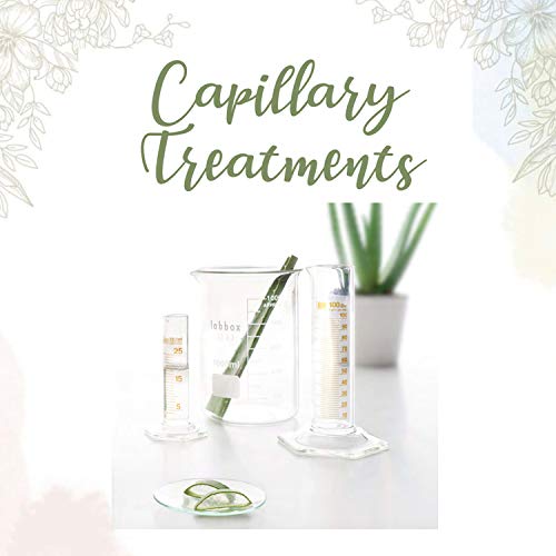 Eva Professional Hair Care Capilo Technikum Purifier N.41 450 ml