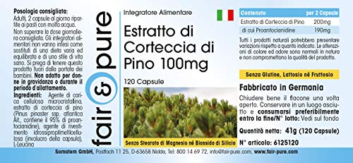 Extracto de Corteza de Pino 100mg - Vegano - 95% de Proantocianidinas - Potente antioxidante - 120 Cápsulas