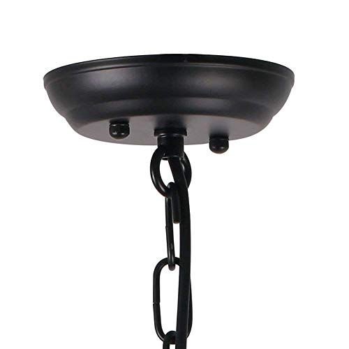 FEE-ZC Lampadario a Sospensione Lampadari In Vetro Di Vetro Casa Colonica Lampada Da Soffitto con Catena a Tirare per Sale Da Pranzo Gabbia d'Epoca Ferro Art Soggiorno E27 220 V, Black
