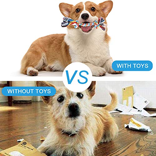 feihao Juguetes para Perros, Juguetes de Cuerda para Perro - Juego de Juguetes para Perros,Dog Chew Toys y Juguete de Chirriador Peluche para Perros(11 Piezas)