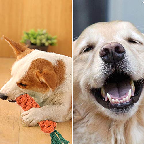 feihao Juguetes para Perros, Juguetes de Cuerda para Perro - Juego de Juguetes para Perros,Dog Chew Toys y Juguete de Chirriador Peluche para Perros(11 Piezas)