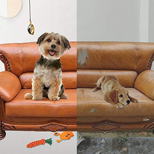 feihao Juguetes para Perros, Juguetes de Cuerda para Perro - Juego de Juguetes para Perros,Dog Chew Toys y Juguete de Chirriador Peluche para Perros(11 Piezas)