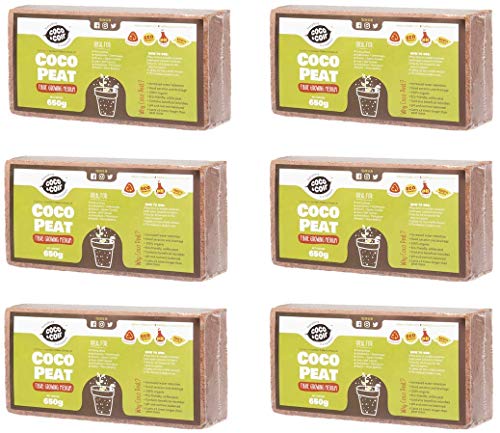 Fibra DE Coco 6 x 650g (9L) | ORGÁNICO | 100% Natural | NO DAÑINA para Reptiles | Medio DE Cultivo | Coco para PLANTACIONES | SUSTRATO DE Coco | BRIQUETAS COMPRIMIDAS DE Coco Ladrillos Coconut & Coir