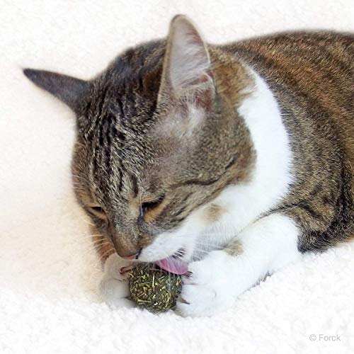 Forck Bola de Menta de Juguete para Gatos 2 Piezas, Nuestras Bolas de Menta consisten en 100% de Hierba gatera Natural | Empleo y Juego para Gatos