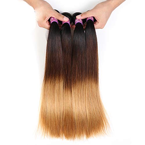 FRTG Extensión Brasileña Rubia Clara del Cabello Humano De 10A 1B / 4/27 Ombre,24