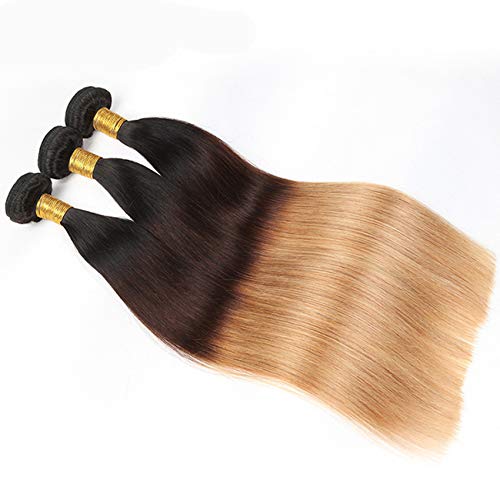 FRTG Extensión Brasileña Rubia Clara del Cabello Humano De 10A 1B / 4/27 Ombre,24