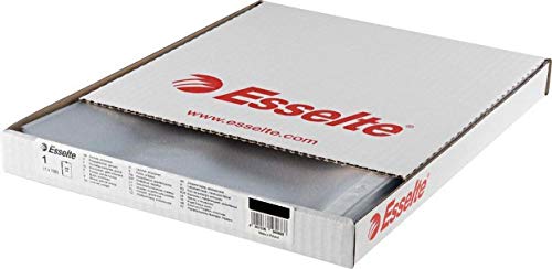 Fundas Multitaladro Cristal Tamaño Folio Esselte Referencia 46106 Pack Ahorro compuesto por 200 Hojas Multitaladro de Excelente Grosor y Durabilidad con capacidad para 50 folios dentro de cada una