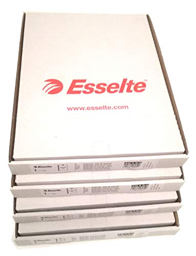 Fundas Multitaladro Cristal Tamaño Folio Esselte Referencia 46106 Pack Ahorro compuesto por 200 Hojas Multitaladro de Excelente Grosor y Durabilidad con capacidad para 50 folios dentro de cada una