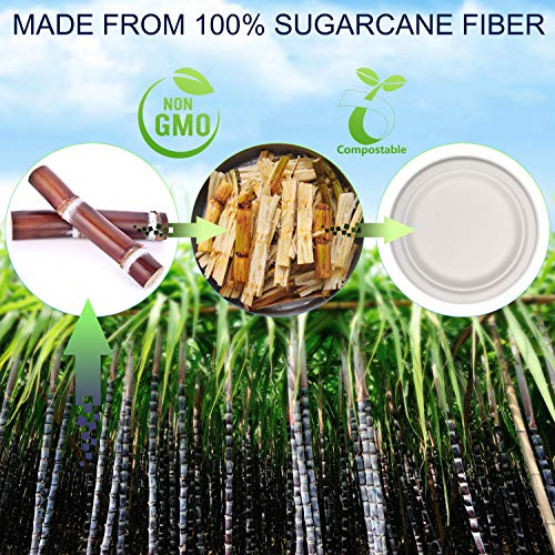 Fuyit Platos Desechables, 200 Piezas Compostables Vajilla, Incluye Biodegradable 50 Platos, 50 Tenedores, 50 Cuchillos y 50 Cucharas para Fiesta, Picnic, Camping