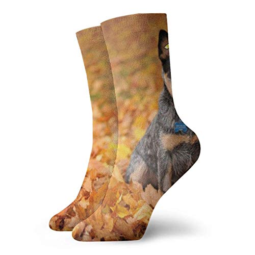 General Brand Calcetines Para Hombre Y Mujer,Crew Socks,Calcetines De Tubo Medio,Fútbol Medias Bajas,Quarter Calcetín,Calcetines Deportivos,Blue Heeler Autumn Adult Calcetines Cortos