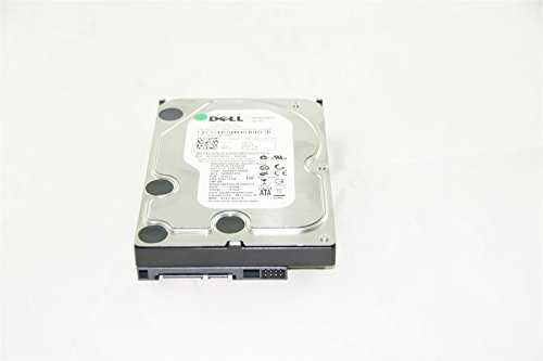 Generic 3.5\" Sata Desktop Hard Drive for Pc, Mac, Cctv Dvr, Nas, Raid (250Gb), [Importado de Uk]