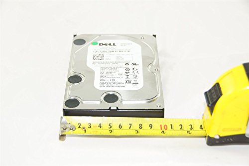 Generic 3.5\" Sata Desktop Hard Drive for Pc, Mac, Cctv Dvr, Nas, Raid (250Gb), [Importado de Uk]