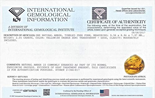 Genuino Ámbar Oscuras Planas Muy Pequeño Juego de 5 Piedras