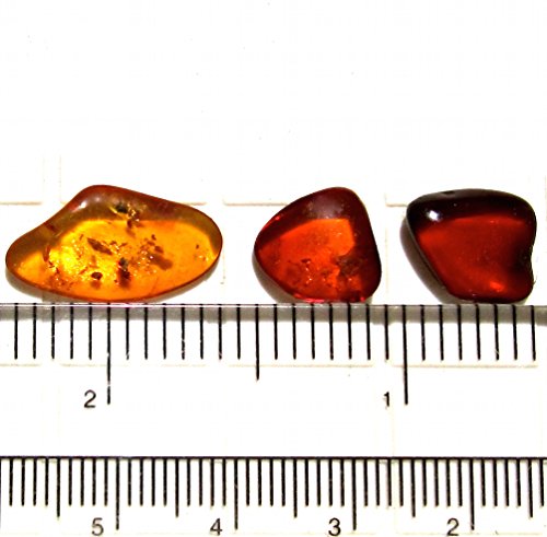 Genuino Ámbar Oscuras Planas Muy Pequeño Juego de 5 Piedras