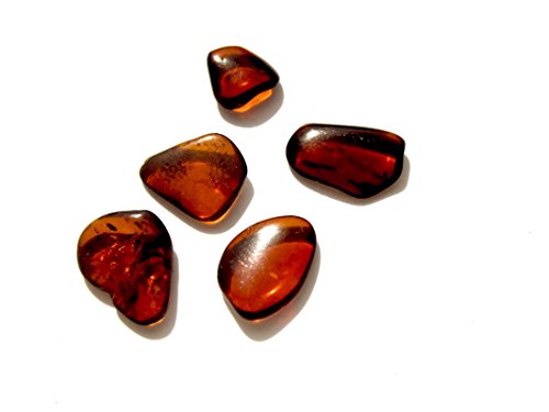 Genuino Ámbar Oscuras Planas Muy Pequeño Juego de 5 Piedras