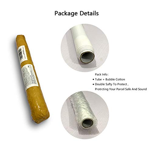 GIRDSS Movie Elephant Circus Fantasy Wall Art Carteles e Impresiones Lienzo Pinturas enmarcadas para la decoración de la habitación-50X90cm sin Marco