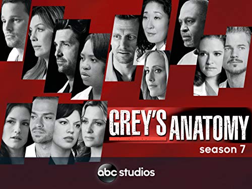 Grey's Anatomy (Yr 7 2010/2011)