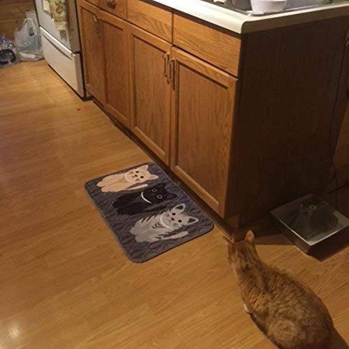 Guizen Felpudo Gato Diseño Cocina Alfombrilla de Goma Alfombra de Entrada Alfombrillas Alfombra salón Dormitorio Alfombra Felpudo 40 * 60cm