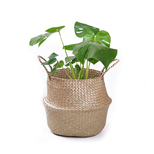 Gwolf Canasta Tejida Redonda de Algas Marinas Canasta de Almacenamiento de Escritorio Artesanías Artesanías Plegables Canastas de Vientre de Algas Marinas Naturales